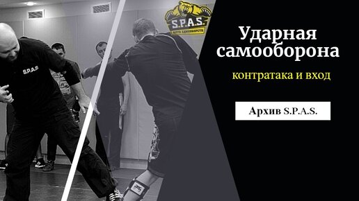 Ударная самооборона S.P.A.S. - контратака для новичка.