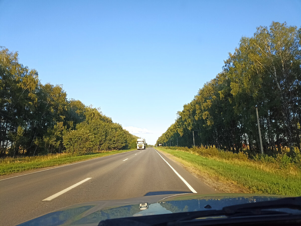 Чувствуется во всём приближение осени. 🥺 Все фото в публикации - авторские