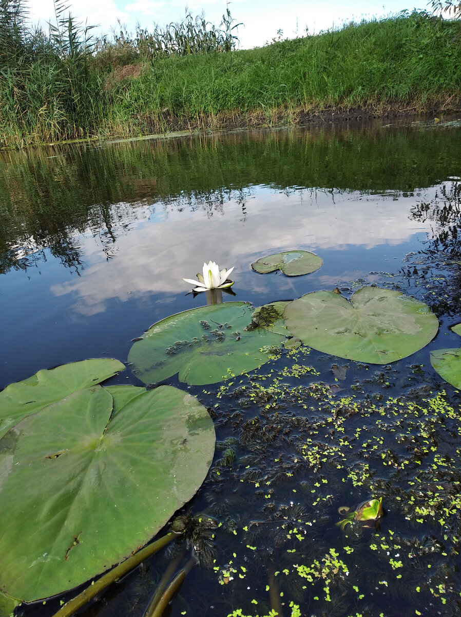 Личные фото.