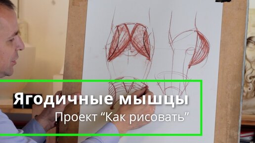 Как рисовать Ягодичные мышцы - А. Рыжкин