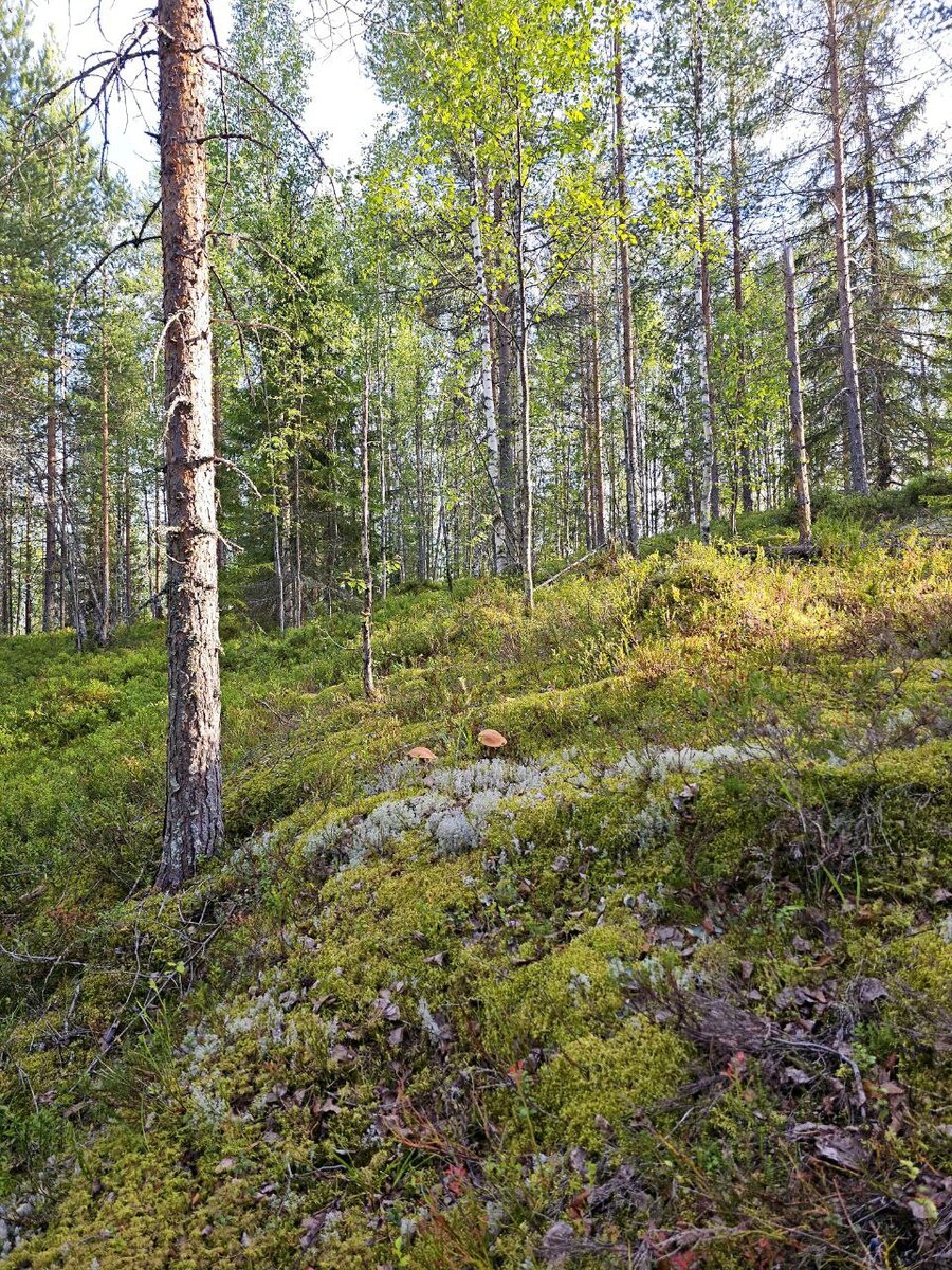 Фото, присланное мне Наташей