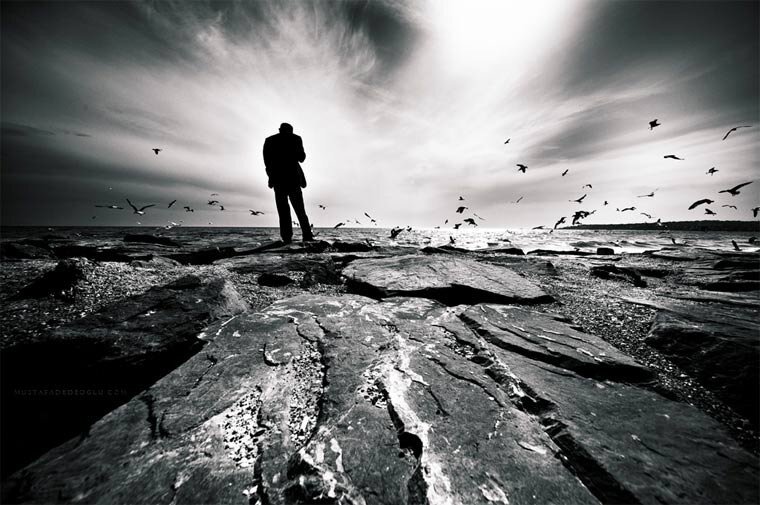 Фото из открытых источников.