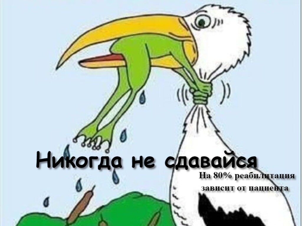 Никогда не сдавайся на английском. Лягушка душит цаплю никогда не сдавайся. Никогда не сдавайся лягушка и цапля. Никогда не сдавайся рисунок. Никогда не сдавайся плакат с лягушкой.