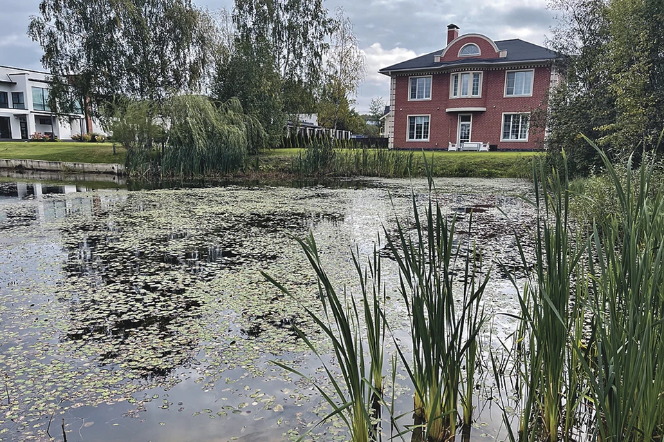 По документам озеро стало земельным участком, на котором можно строить. 
Фото: Александр РОГОЗА. KP.RU