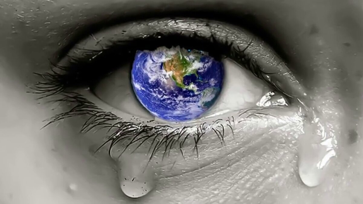 Фото взято из открытого доступа сети Интернет