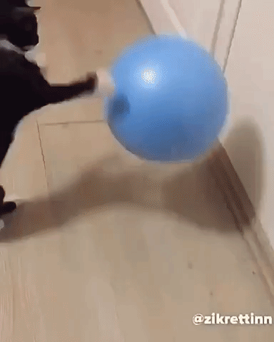 Точнее, раньше играл, пока его не украли.