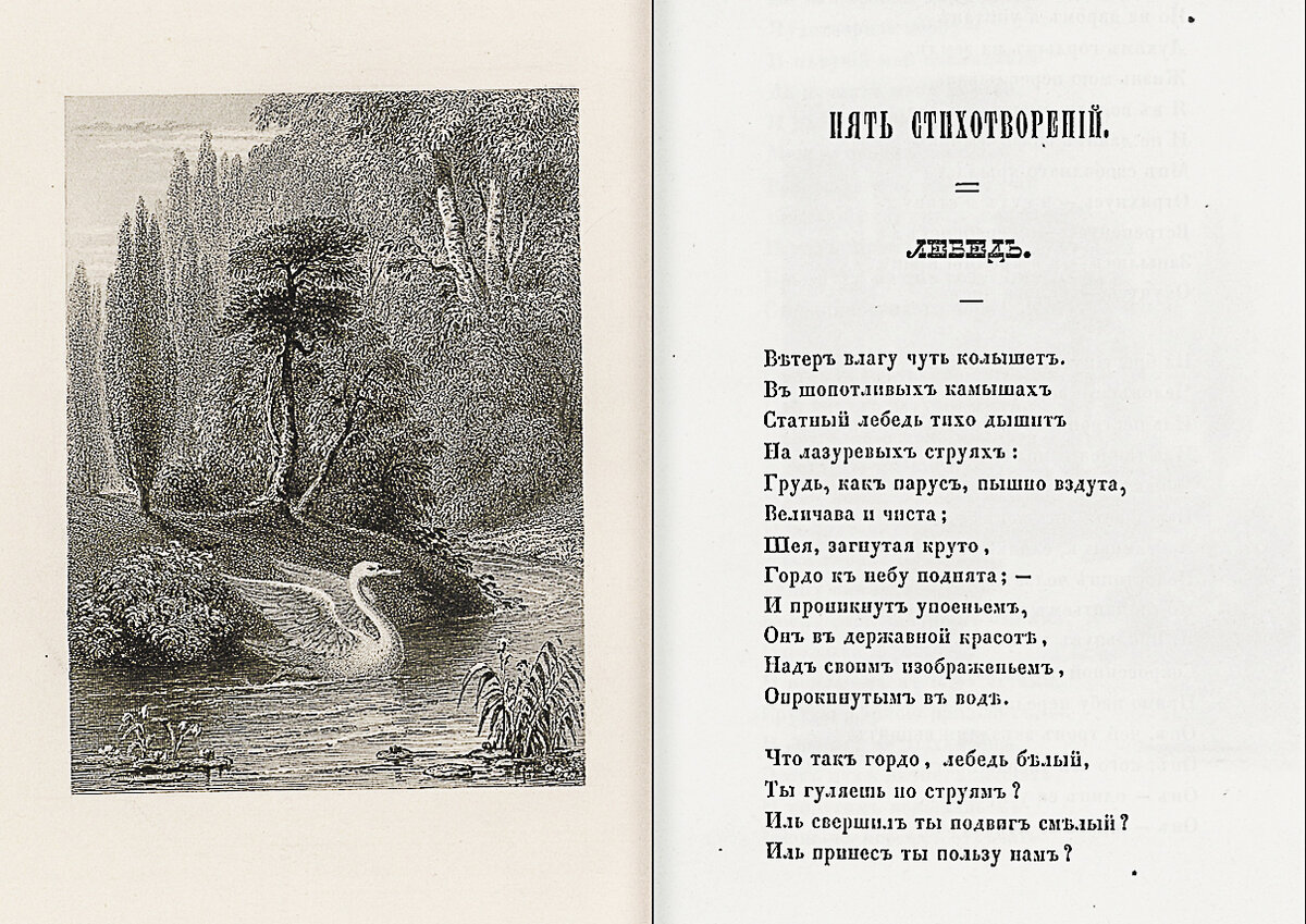 Мои звери дуров иллюстрации. Печенькин. Потешки про лошадку. Москва бенедиктов стих. В.