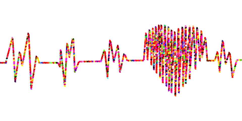 https://pixabay.com/vectors/electrocardiogram-blood-pressure-ekg-2858693/