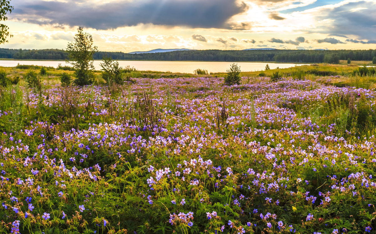 Фото взято из интернета