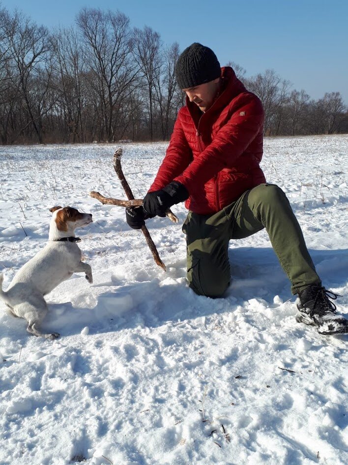 Изгнание бесов 