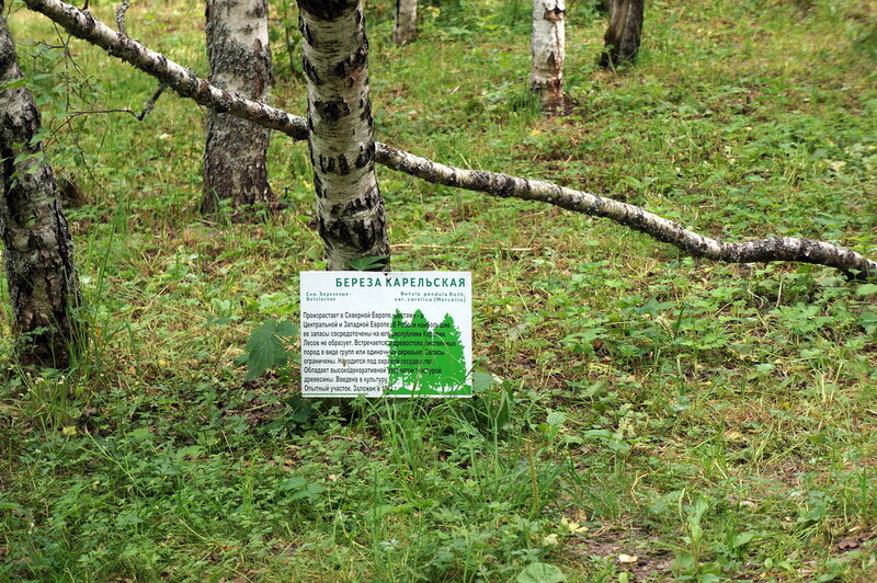 (Фото fedalnik.livejournal.com)