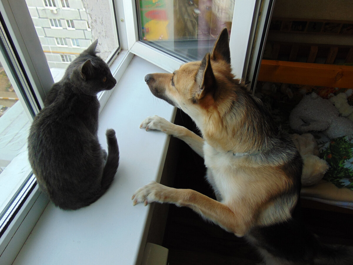 Фото из личного архива.