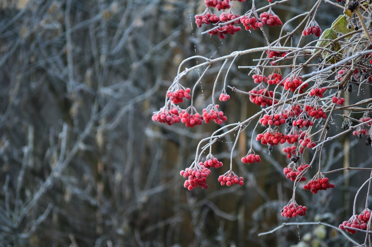 Калина 1 печка дует на лобовое стекло холодным воздухом. На калине дует воздух холодный печки. Как сделать калину теплее. Как сделать калину теплее. Как сделать калину теплее.
