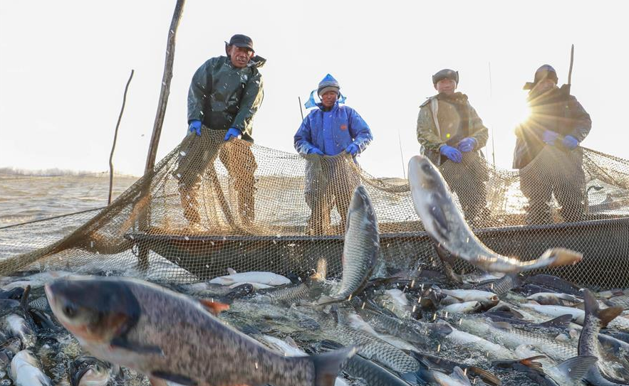 Увеличится ли поток китайских рыболовов-туристов в Россию?