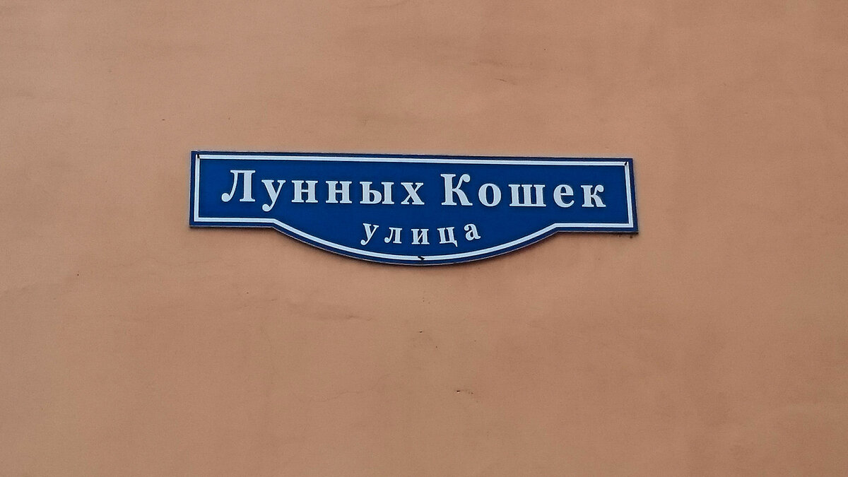 Улица лунных кошек спб карта