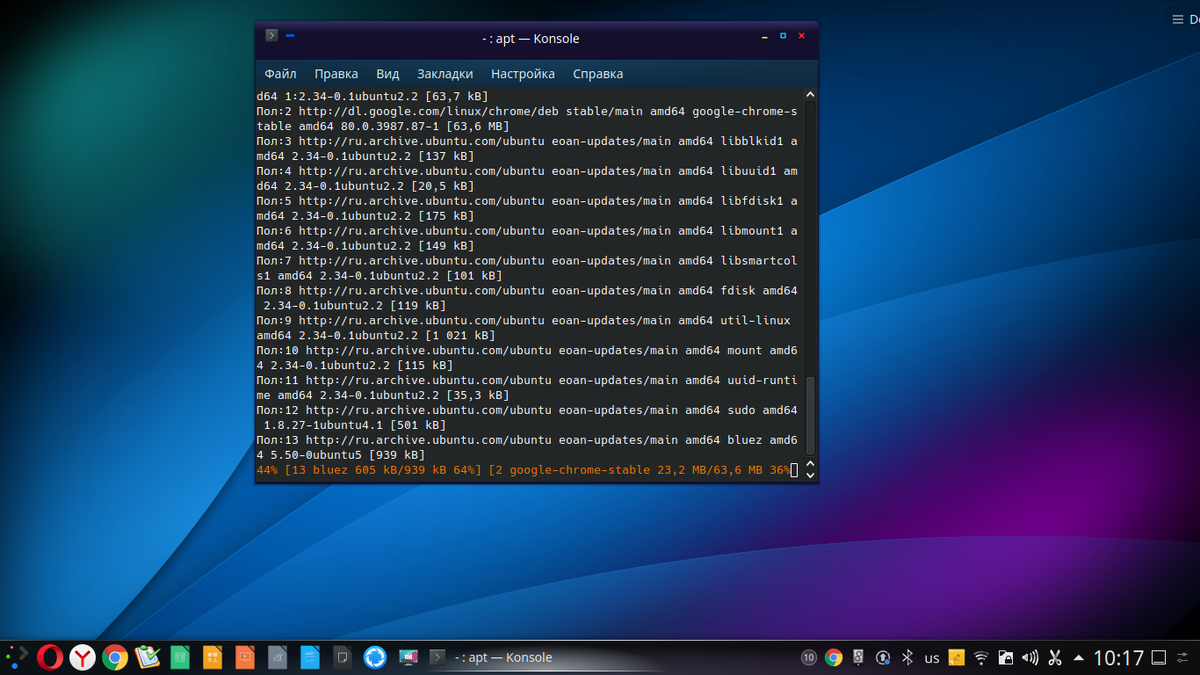 "Страшное" окно Терминала с процессом обновления.