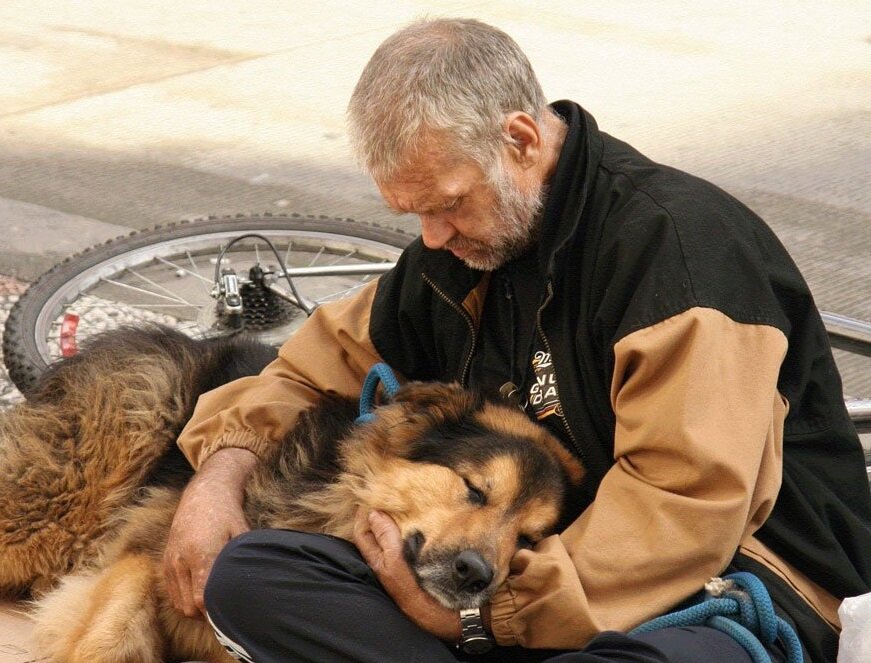 Источник фото: stihi.ru (Наталья Зубченко)