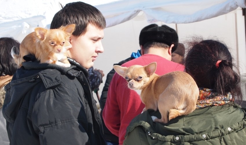 Фото: Сергей Сактаганов