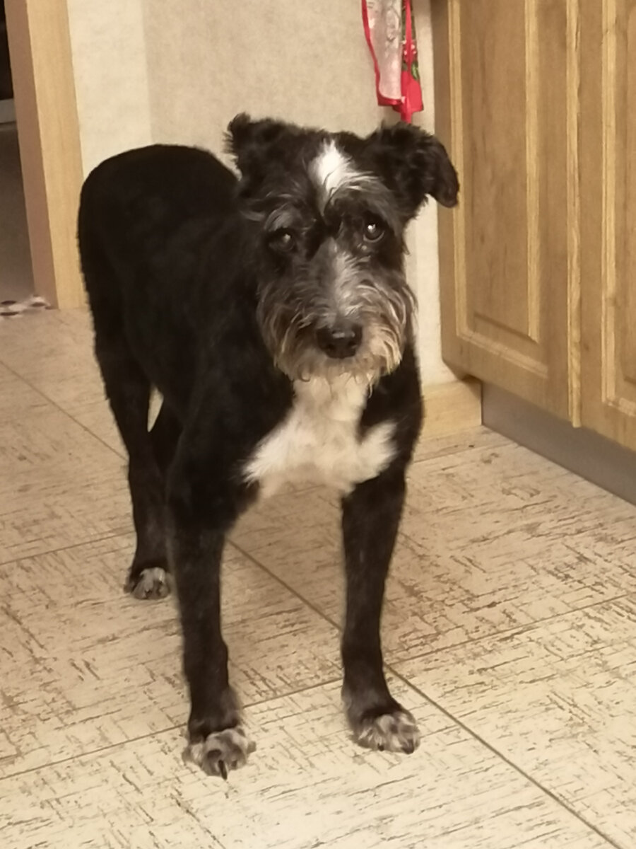 Вот такие вот у нас глазки...