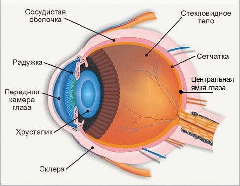 Подпишитесь на этот канал, и будет Вам фотосчастье! ))) Ваш Дмитрий Шубин 