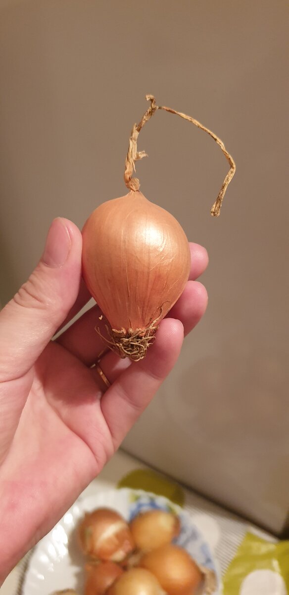 Фото из личного архива. 