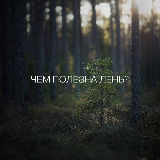 Вот уж действительно интересный вопрос :)