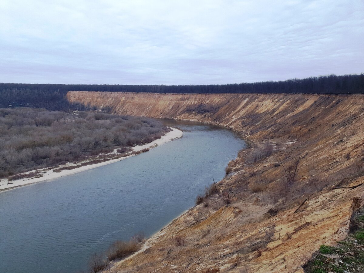 Урочище Кривоборье Рамонский