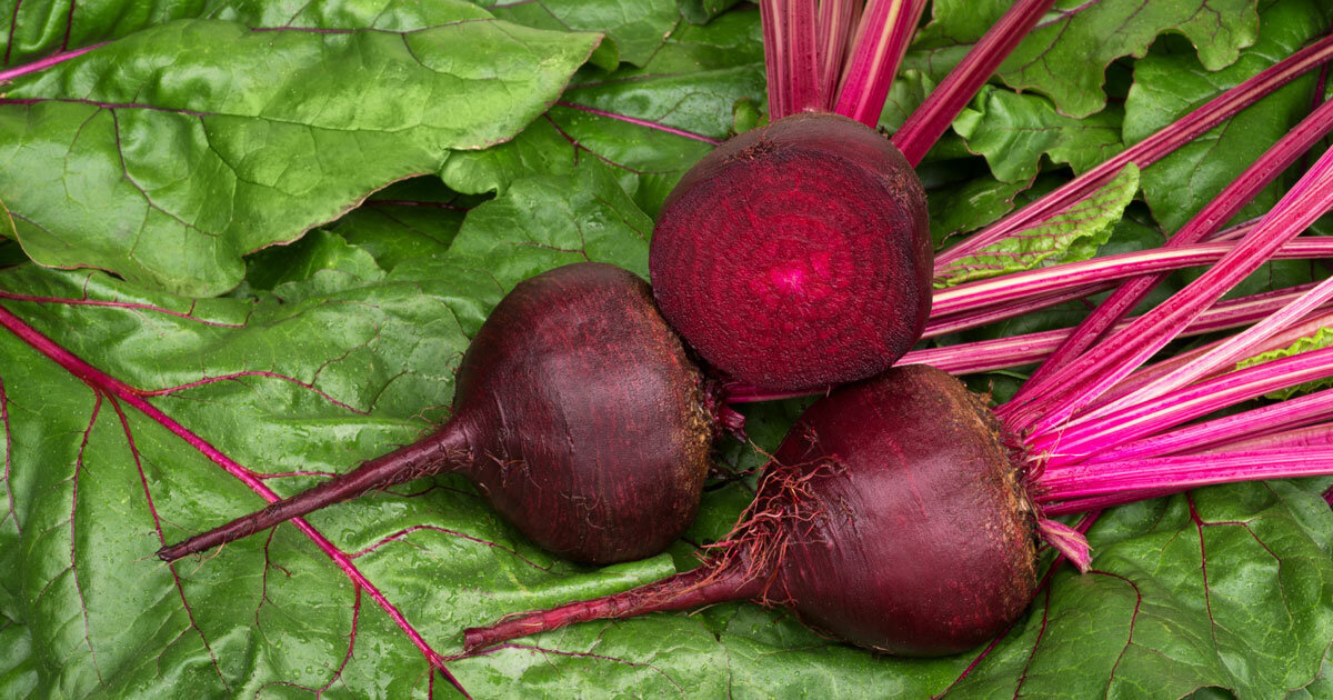 Подпишитесь на канал и узнавайте все самое интересное.