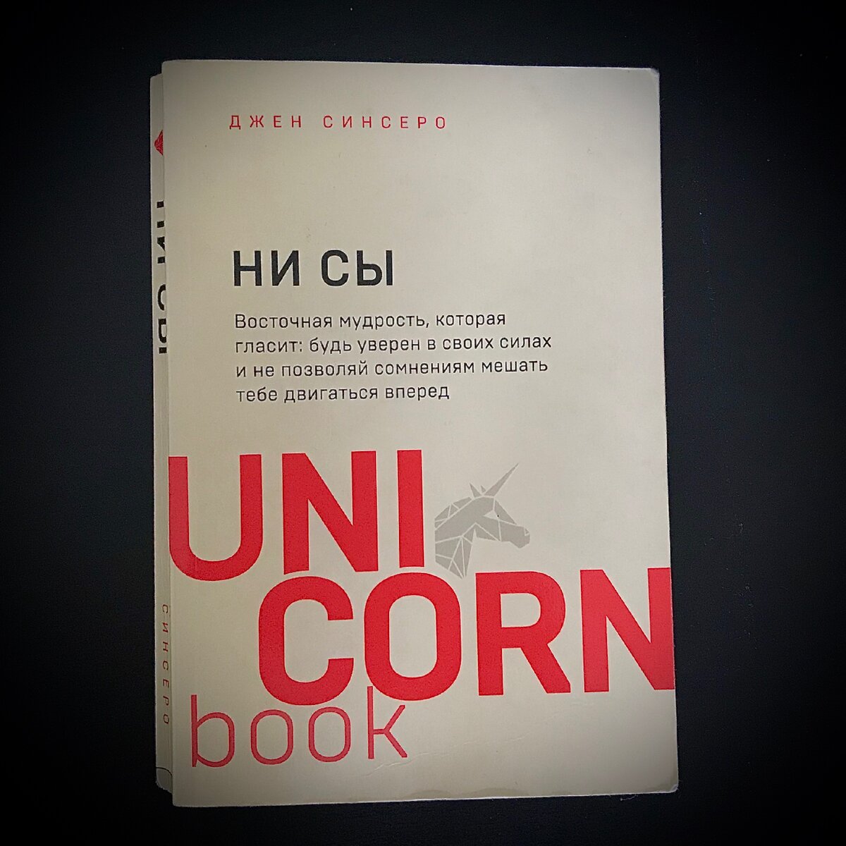 Джен Синсеро «Ни Сы»