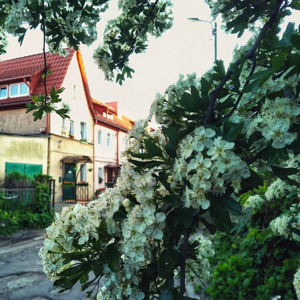 Фотография Александры Макаревич, май 2020 года.