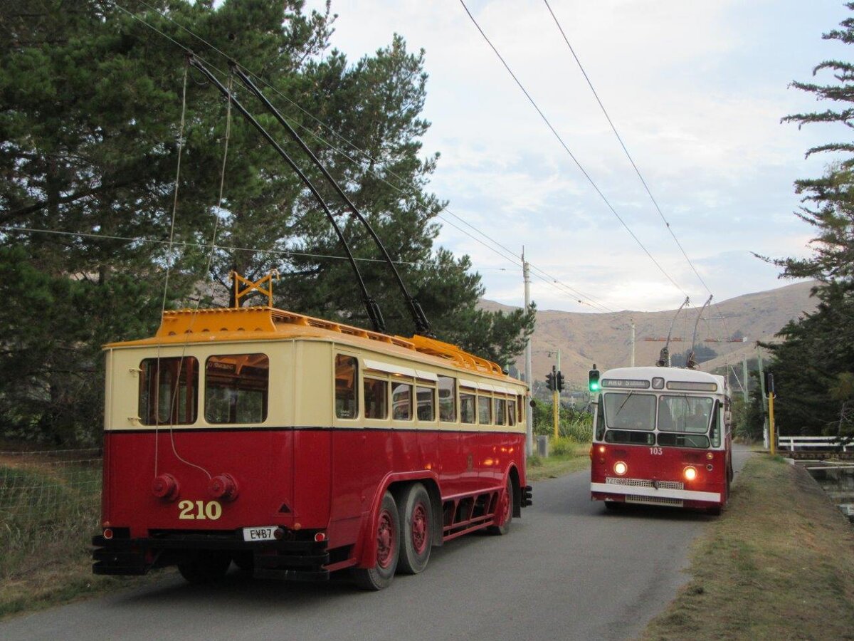 Дизайн, порода, масть! Сделано для души! 