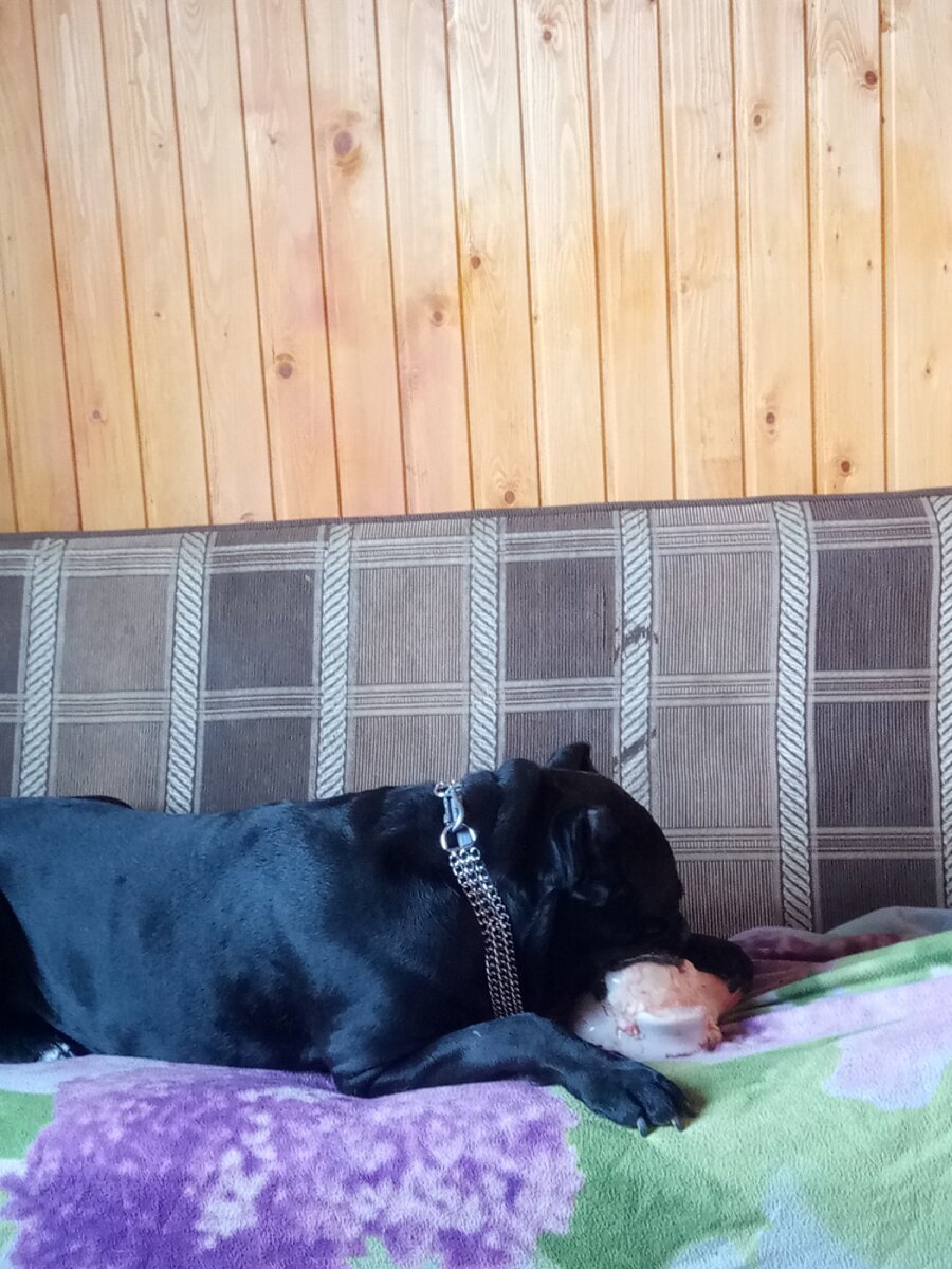 Фото из личного архива автора