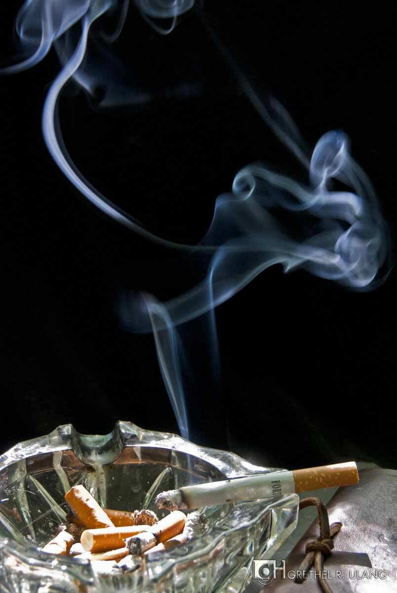 Картинка взята из открытых источников