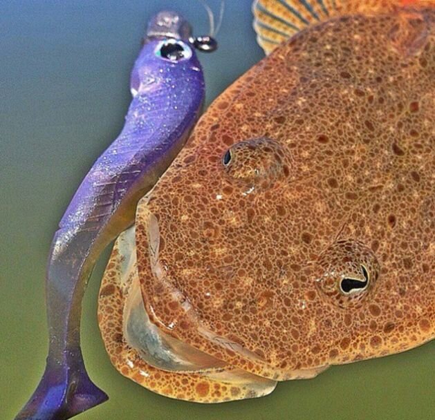 Отлично работают при лове на глубине