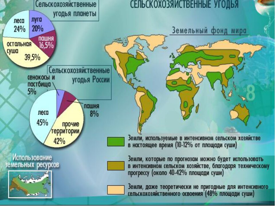 Карта сельского хозяйства. Структура сельскохозяйственных угодий мира. Площадь сельскохозяйственных угодий. Площадь сельскохозяйственных угодий в мире. Земли пригодные для сельского хозяйства.