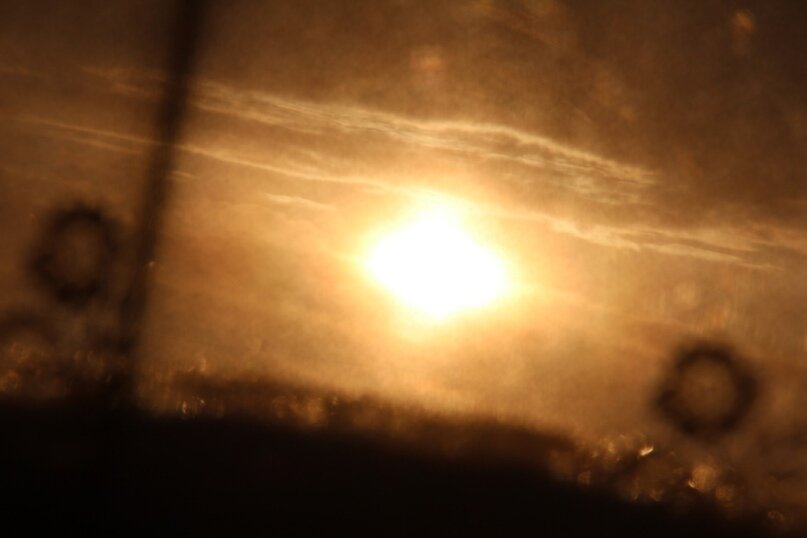 Наша реальность — одна, единственная?