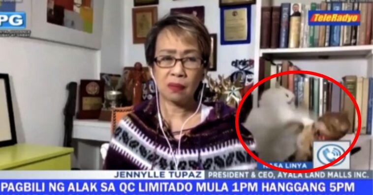 PG. teleradyo. Дорис Бигорния