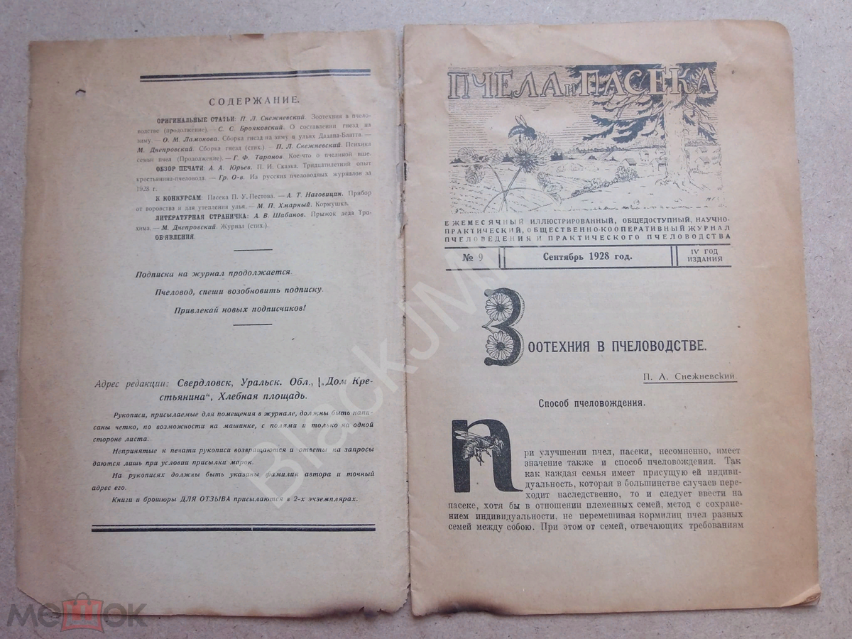 Мед ,пасека и пчелы.1920-1929 | Лотерея воспоминаний | Дзен