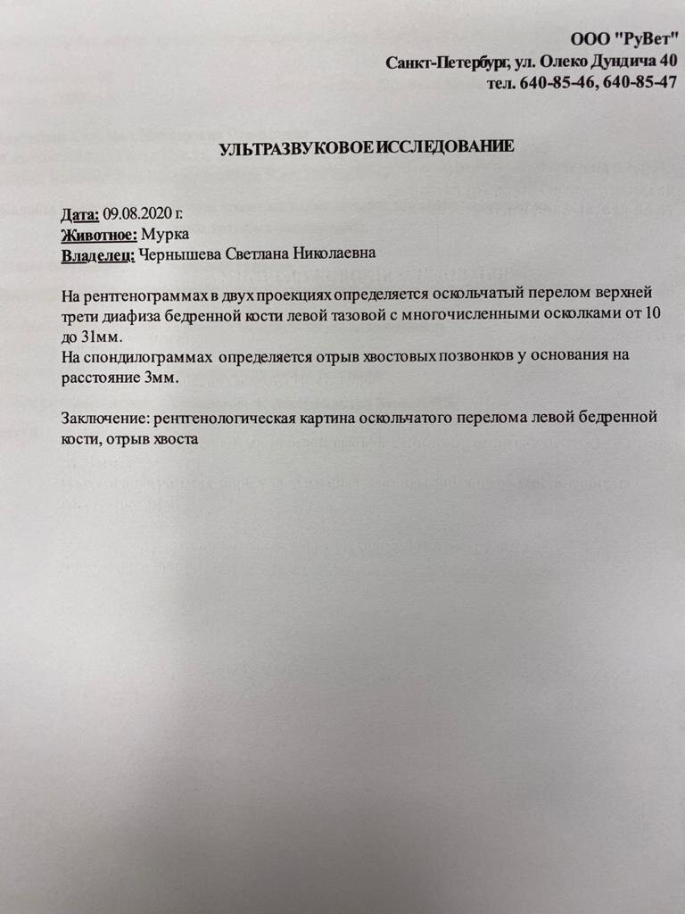 УЗИ, рентген до и после операции