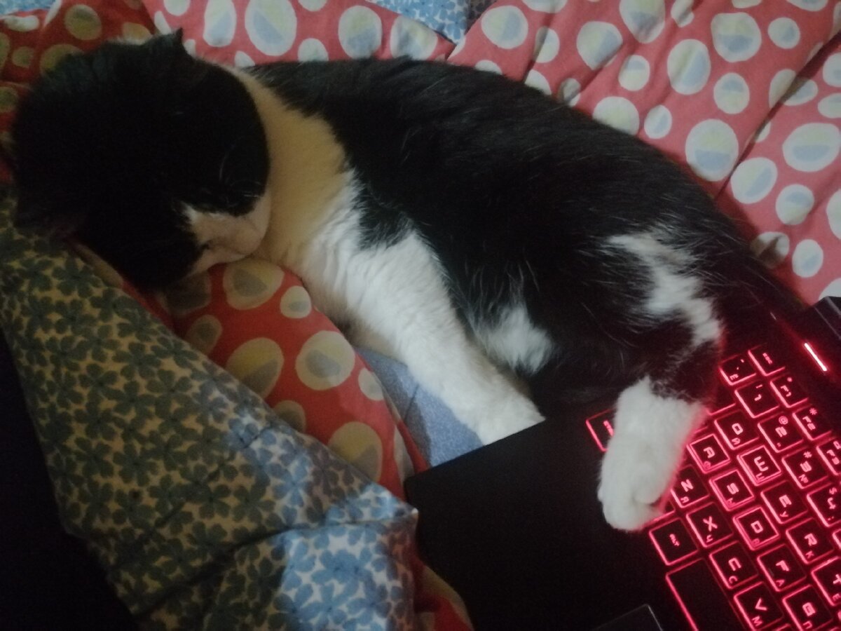 Лилька мне помогает, правда она не очень эффективна...))) Поддерживает морально)))