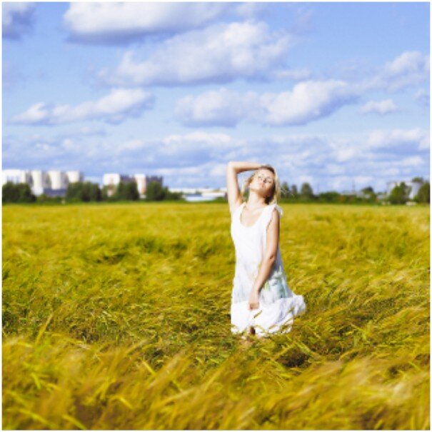 Источник фото: pixabay.com