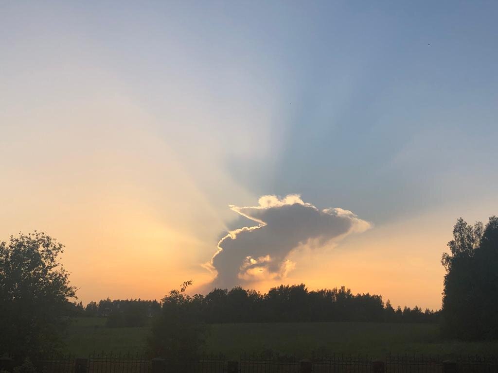 Увидеть возможное в невозможном.