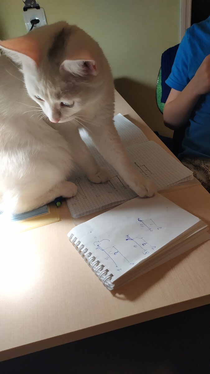 1.-Так, так. Помочь?