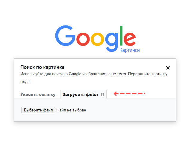 Найди своего двойника по фото. 5 лучших поисковиков