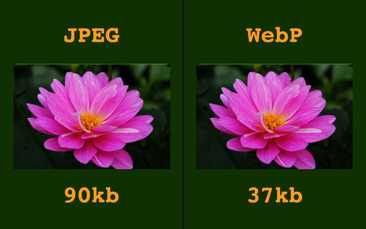 Webp to jpeg. Webp изображения. Формат webp. Картинка webp .webp. Формат фотографий webp.