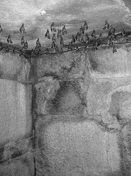 Кладка внутри «царских гробниц». Изображение взято из книги А.Ю.Склярова "По следам Ковчега Завета", издательство ВЕЧЕ, 2015