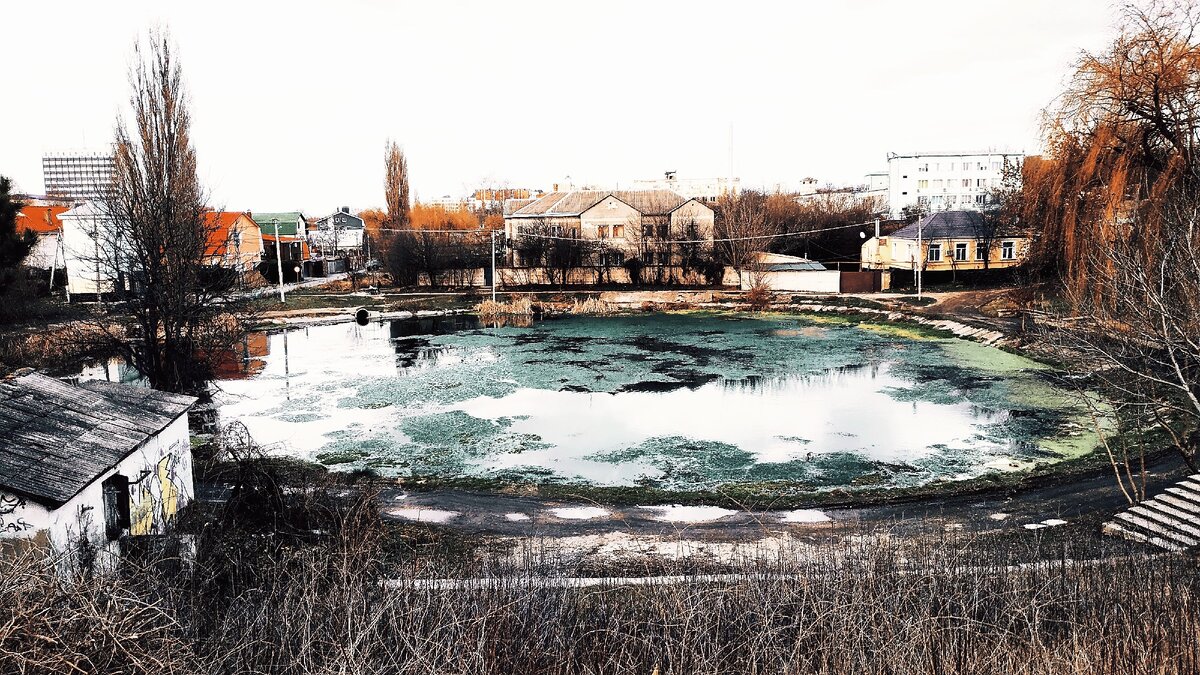 Вид со стороны улицы Данилова на одноименный пруд