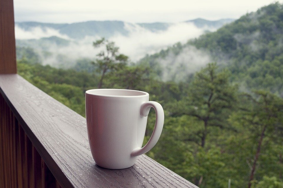 Как регион произрастания влияет на химический состав кофе? Проследим взаимосвязь.