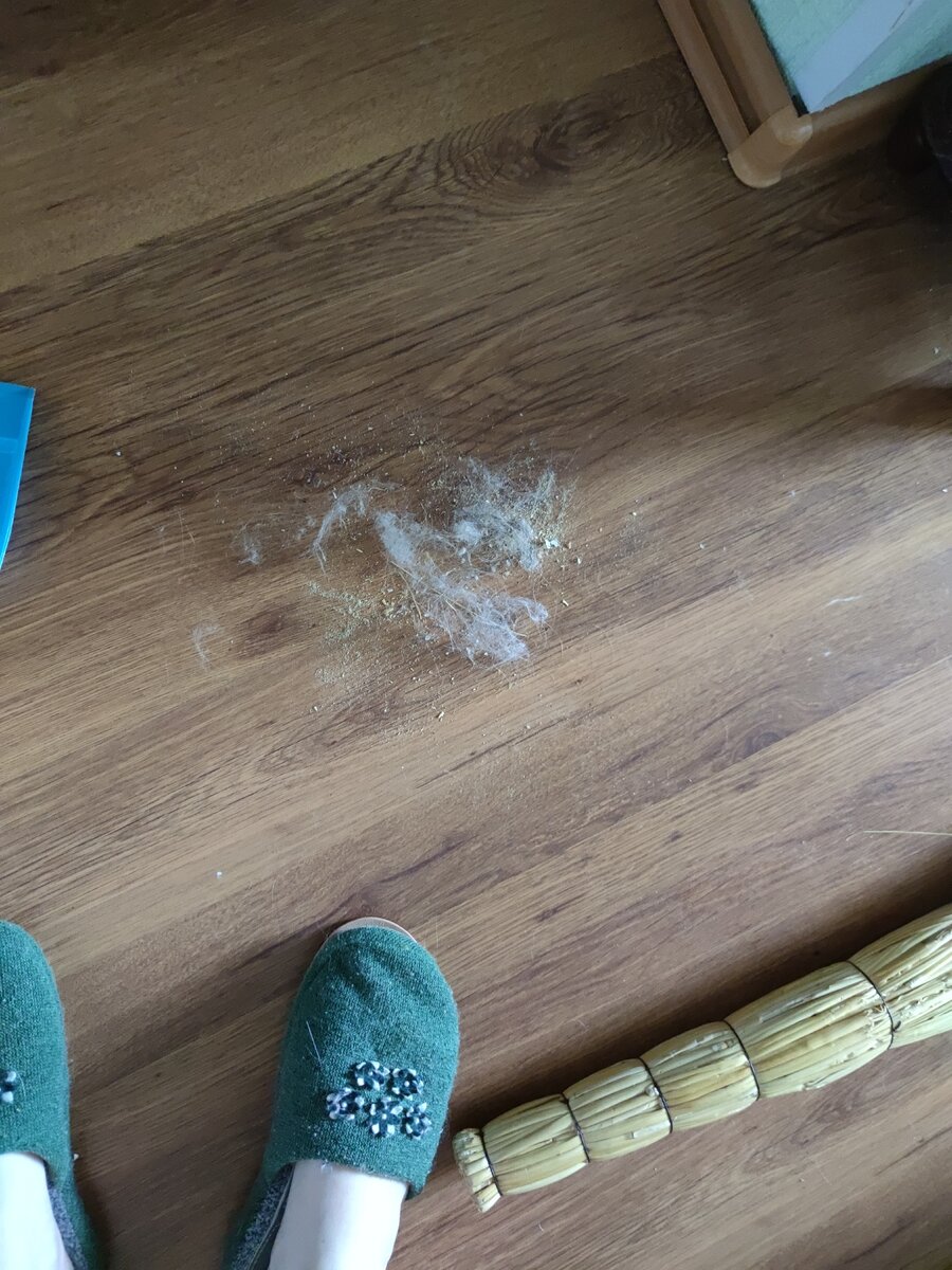 Каждый денm мету пол, а пыли вечно воз. Одно расстройство