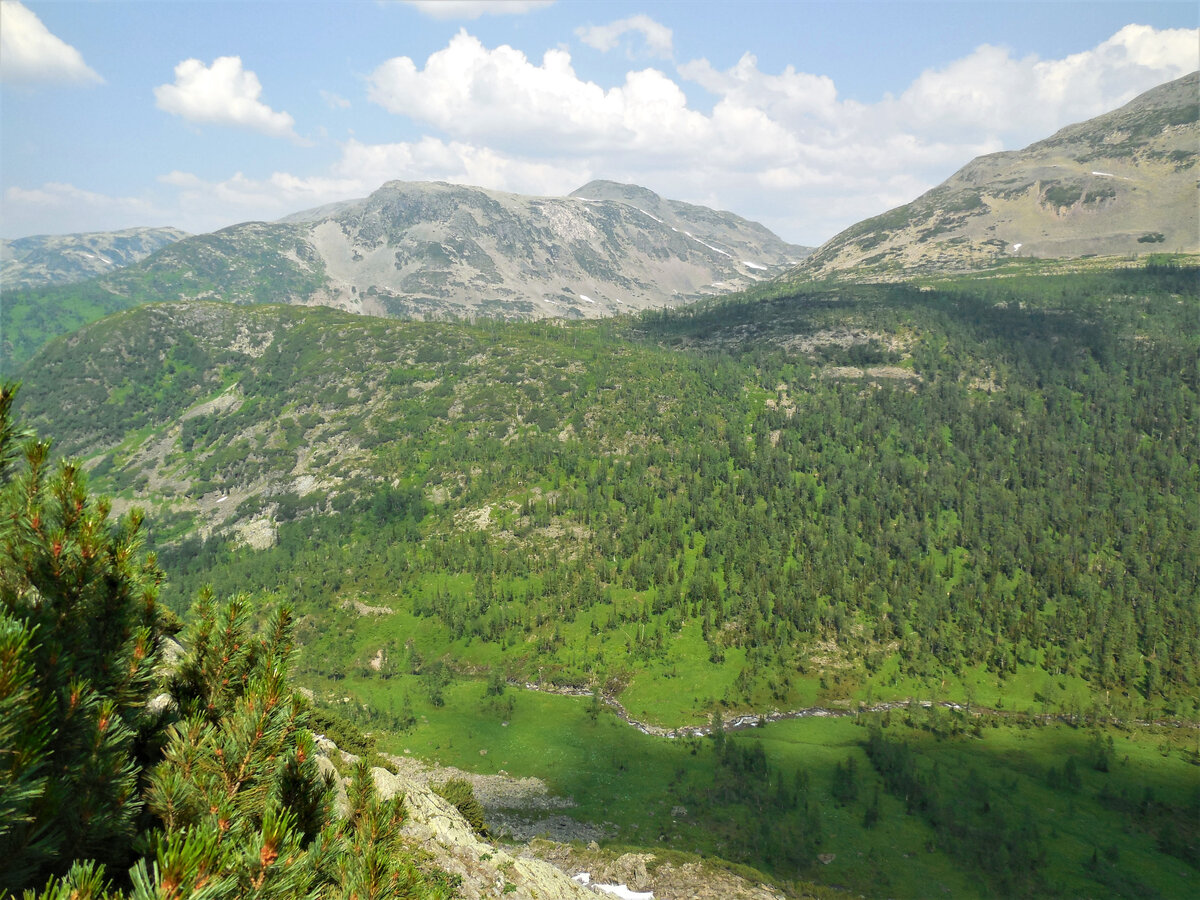 Таежныый ландшафт. Фото автора.